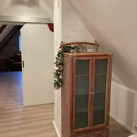 Hireu's Hus شقة
